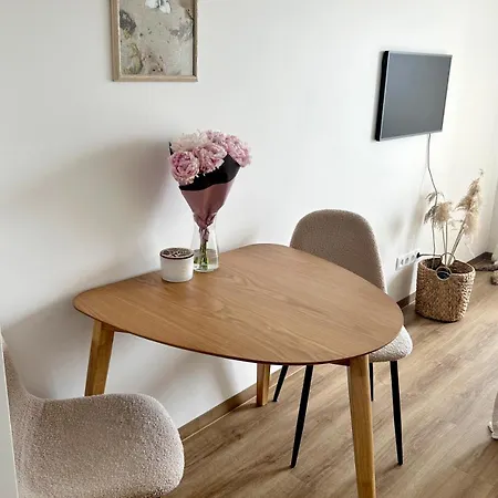 Jaukus Apartamentai Prie Juros Lejlighed Palanga